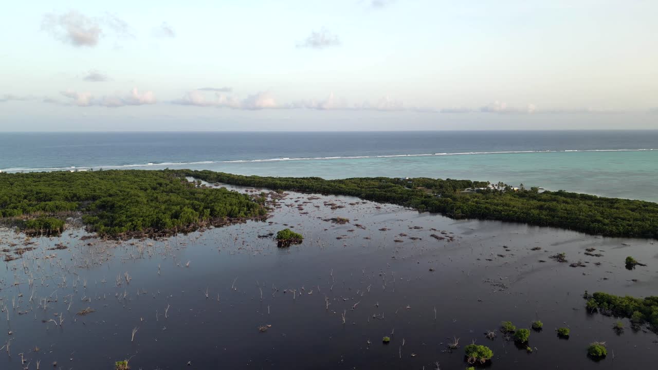 드론이 천천히 뒤로 날아다니며 호수와 열대 우림 위를 지나 가서 해가 지는 카리브 해의 케이먼 제도에서 바다와 산호초를 바라보고 있습니다.