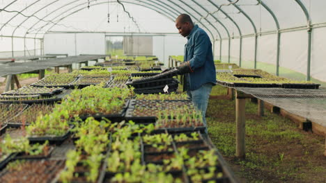 granja, ecología y un hombre negro en un invernadero