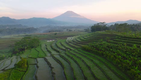 Aerial-view-of-beautiful-terraced-rice-field-and-mountain-on-the-background-with-sunrise-sky