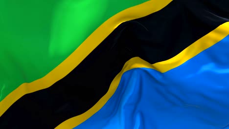 tanzania flag waving in wind slow motion animation . 4k realistic fabric texture flag smooth blowing on a windy day continuous seamless loop background.