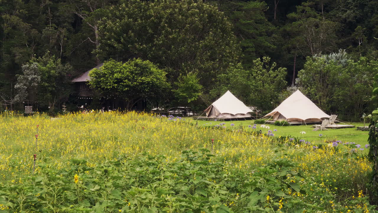 Serene campsite nestled in a vibrant yellow floral landscape, with a cozy tent under a clear blue sky. Perfect for nature, adventure, or relaxation themes