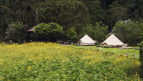 serene campsite nestled in a vibrant yellow floral landscape, with a cozy tent under a clear blue sky. perfect for nature, adventure, or relaxation themes