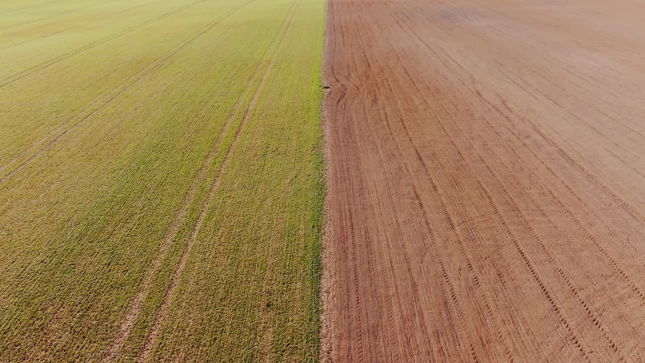 Spring farmland symmetry captured in forward-moving cinematic perspective