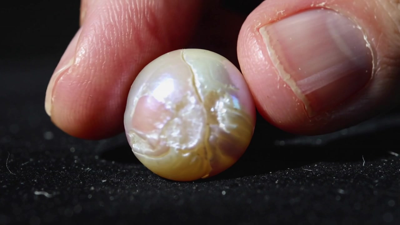 Pollice e indice si avvicinano, spingendo delicatamente una perla barocca su un tappetino nero per rivelare una microfrattura.