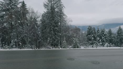 handheld panning shot of snow-covered road and evergreens on overcast day in salmon arm, british columbia, canada