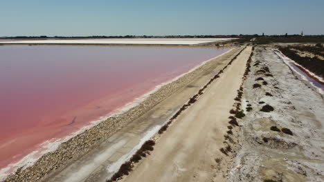 el lago salado rosado vista aérea