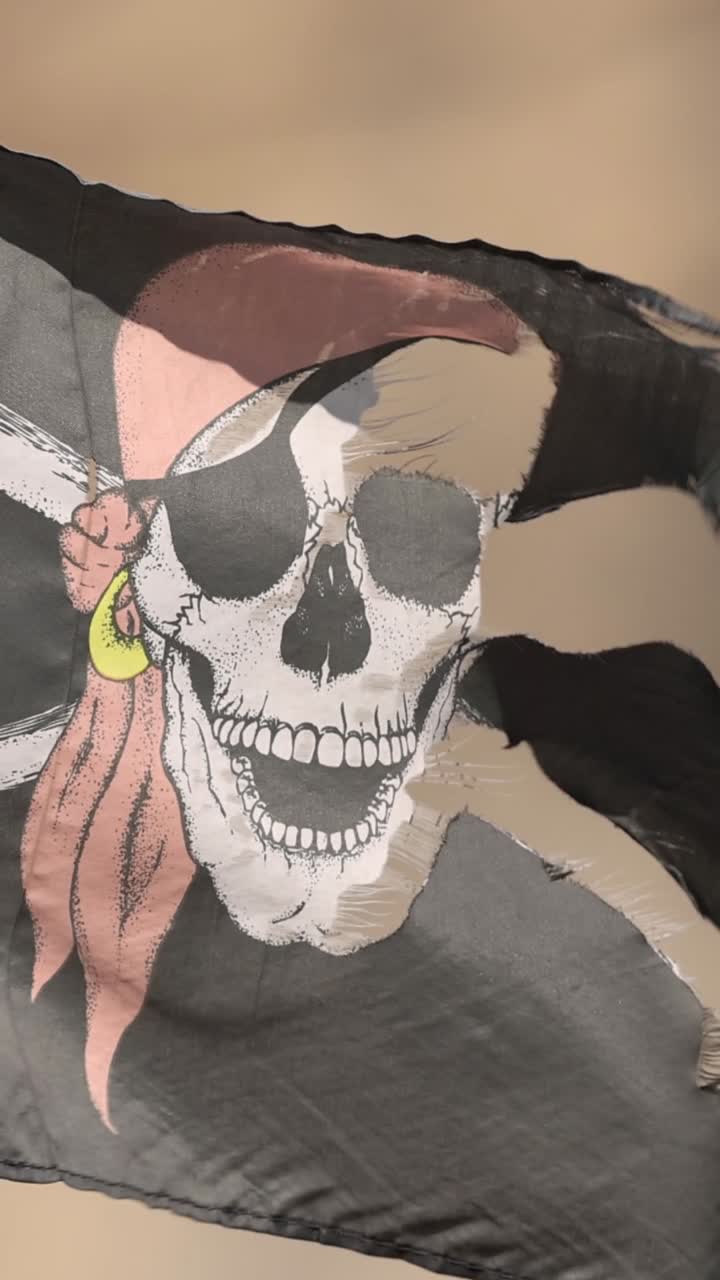 флаг веселого роджера дрожит в сильном ветре.