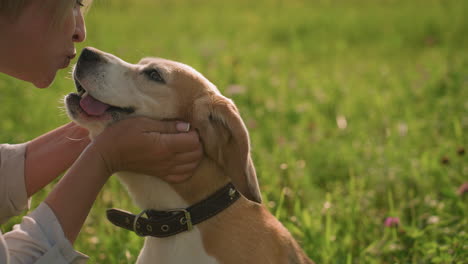 dog owner holding dog head gently, smiling as dog looks at her with tongue out in vast grassy field on sunny day, depicting a loving bond between owner and pet, surrounded by lush green grass