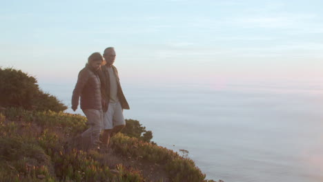 Happy-senior-couple-holding-hands-and-walking-on-mountain