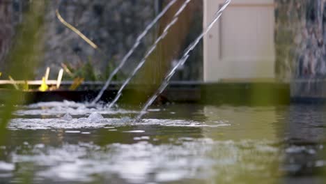 característica del agua en jardín ornamentado cerrado-4