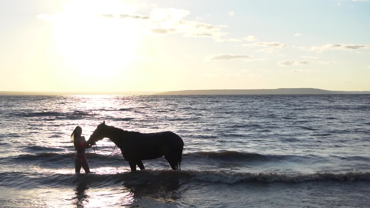 mulher e cavalo ao pôr-do-sol na praia