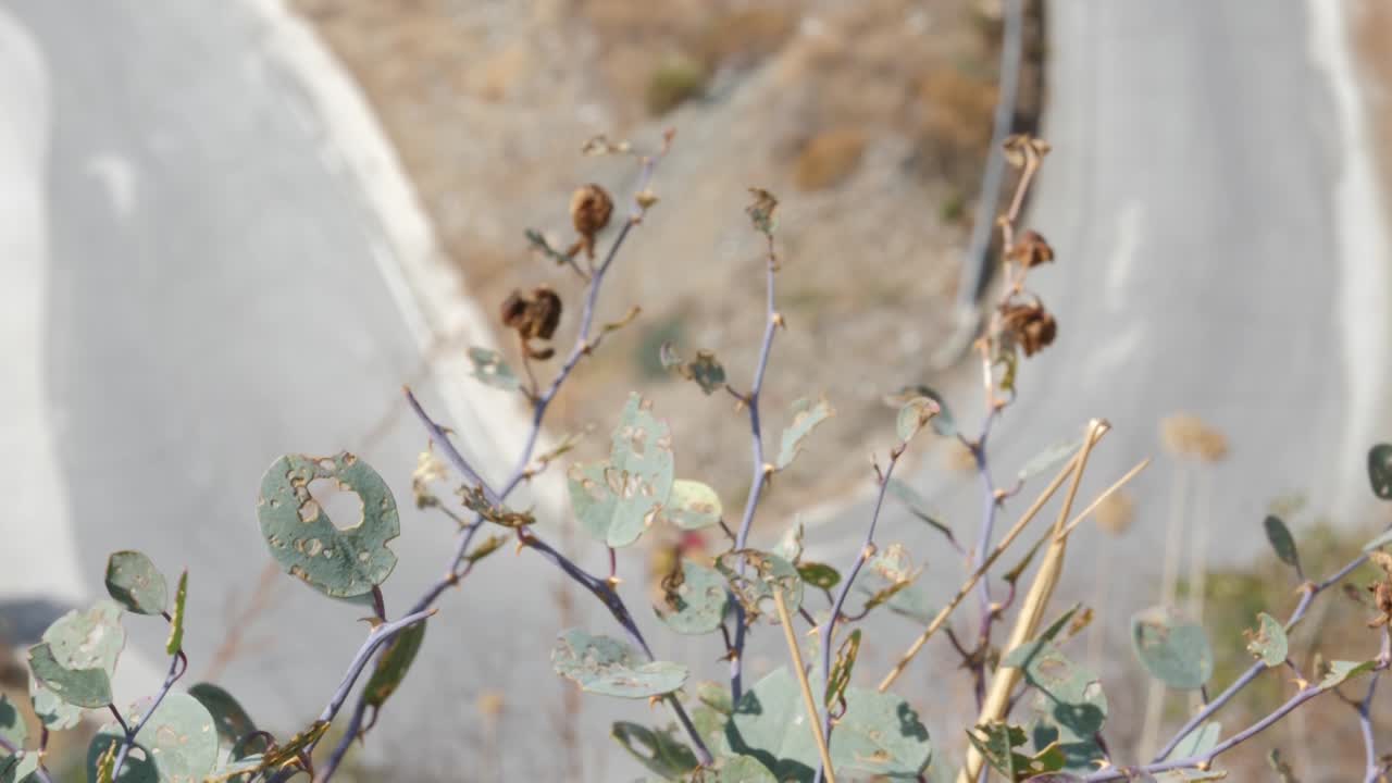 랙은 은 길을 따라 배을 고 있는 두 소녀를 내려다보고 있습니다.