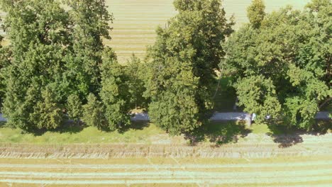 Schöner-Drohnenblick-Auf-Die-Landstraße-An-Einem-Sonnigen-Tag