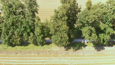 beautiful drone view of the country road on a sunny day