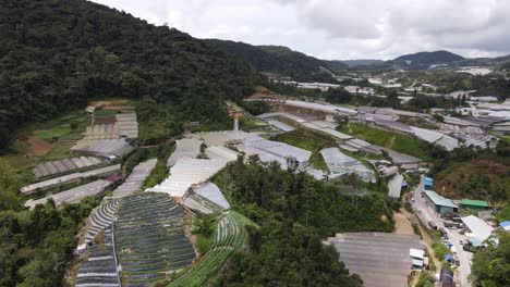 general landscape view of the brinchang district within the cameron highlands area of malaysia