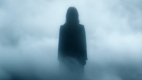 silhouette in the mist