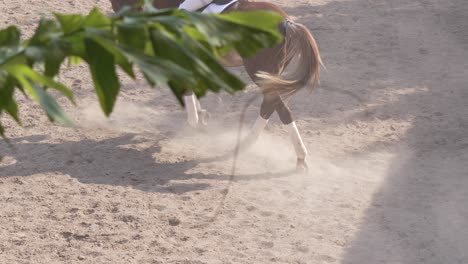 Frau-Reitet-Galoppierendes-Pferd-Im-Trainingsfeld-Für-Reitwettbewerbe