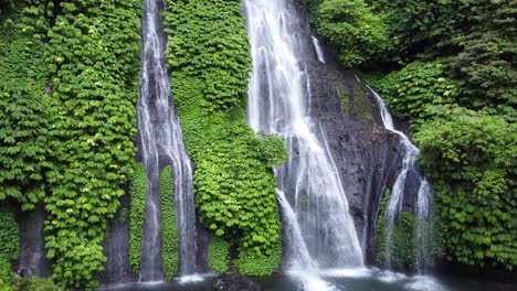 lush green waterfall in a tropical setting