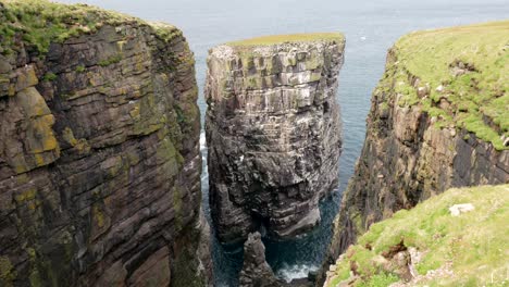 seabirds fly over a turquoise green ocean in front of a dramatic sea stack covered in a seabird colony that rises out of the ocean as waves crash against the base of the cliff