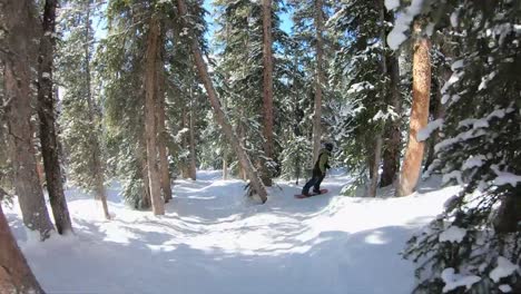 Snowboarding-and-Skiing-in-Colorado