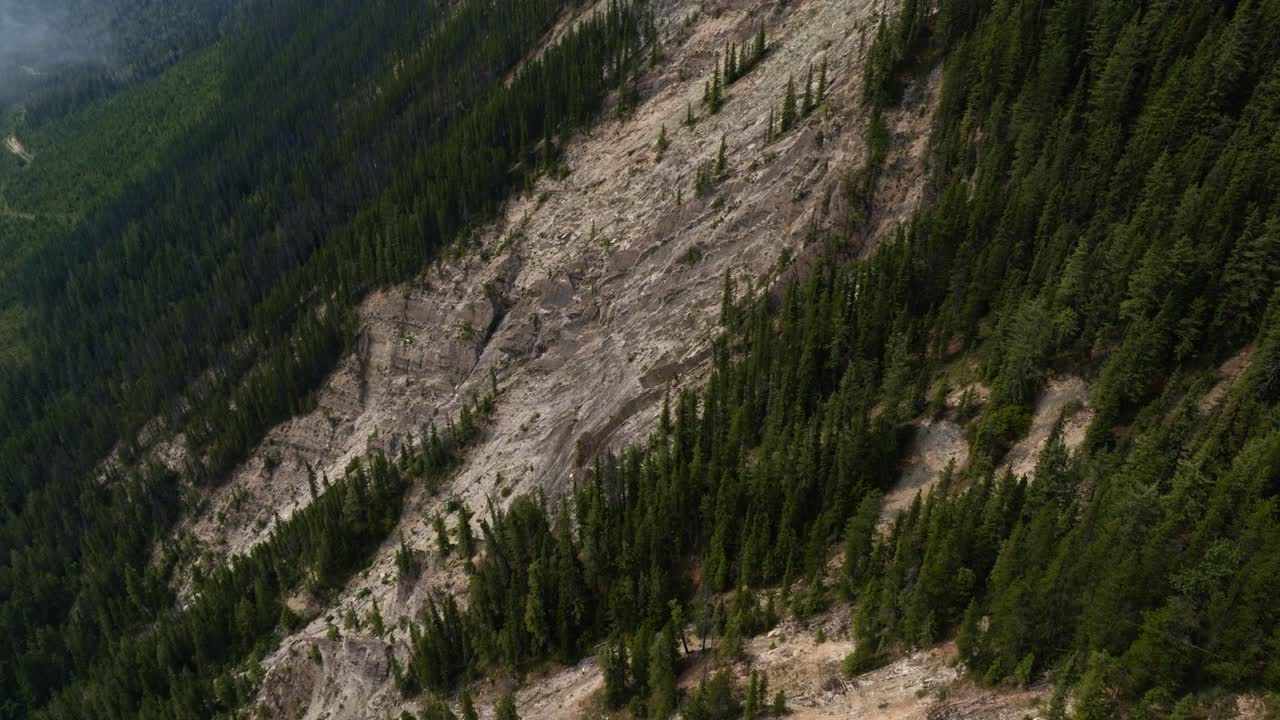 vista aérea inclinada sobre el bosque y la naturaleza desnuda en las montañas de bc, canadá