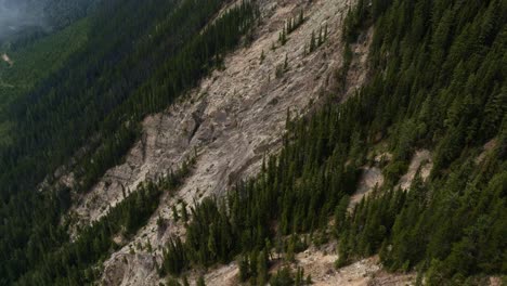 Aerial-view-tilting-over-forest-and-bare-nature-in-the-mountains-of-BC,-Canada