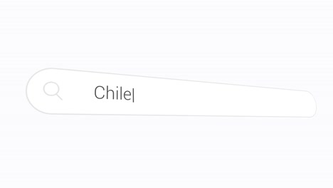 entering chile in the search box - internet browsing