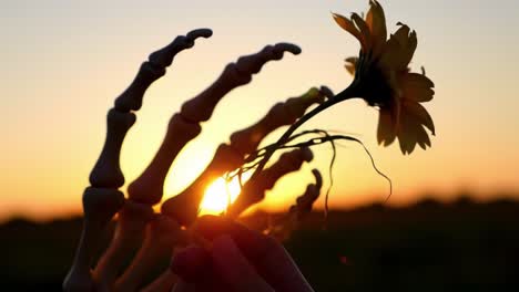 a unique contrast of life and death: a skeleton hand holding a flower against a beautiful sunset sky symbolizes the intersection of mortality and nature's beauty