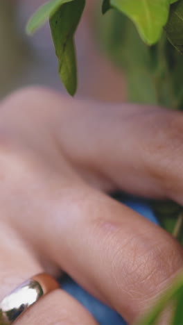 cu, slow motion: elegant young bride with gold wedding ring on finger and french manicure holds beautiful fresh flowers bouquet at ceremony close view