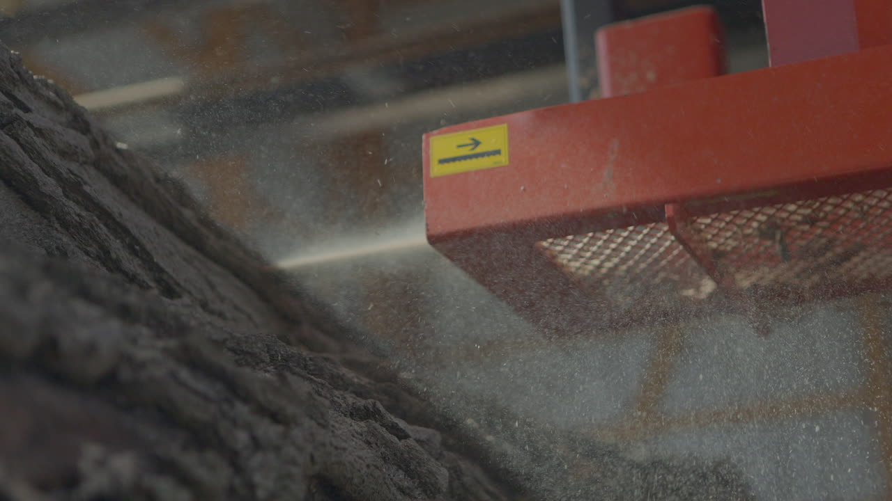 крупный план пильного диска на лесопильном заводе в низком ракурсе, когда он прорезает ствол большого дерева