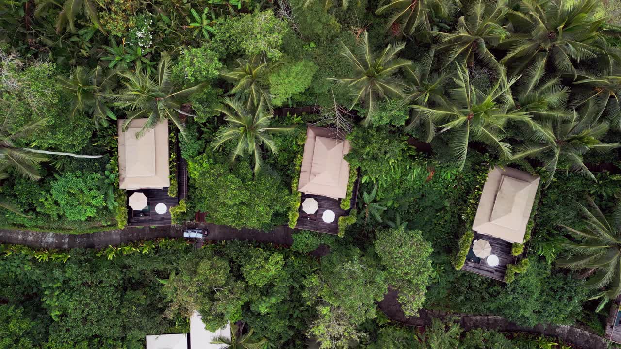 Aerial drone view showing luxury glamping tents hidden in thick tropical jungle, featuring wooden decks, palm trees and quiet pathways that create a peaceful private escape deep inside Bali nature