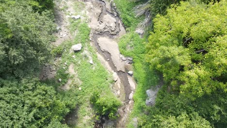 Lecho-De-Un-Arroyo-Verde