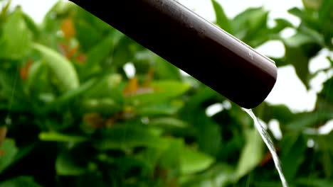 Heavy rain in rainy season