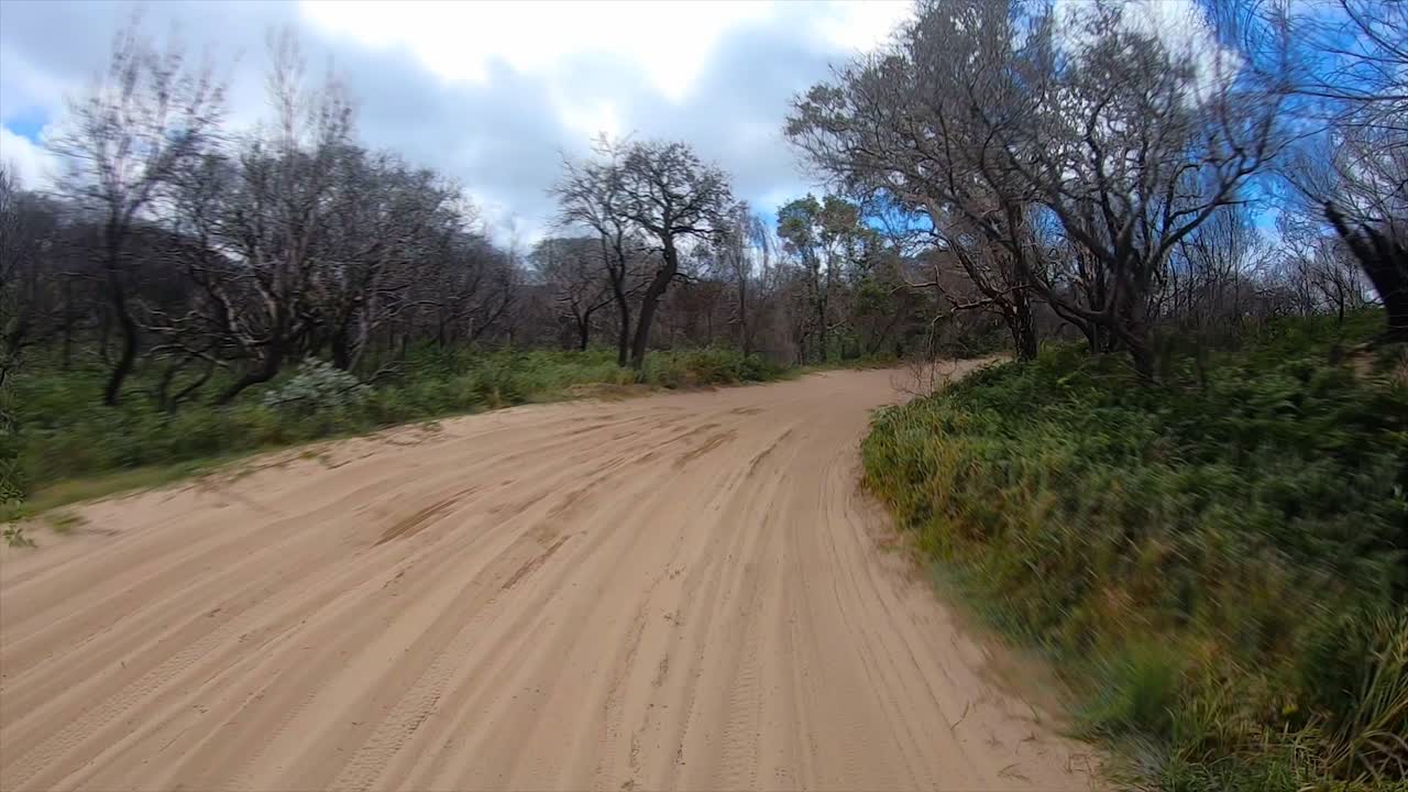 punto de vista de conducción mirando hacia atrás conducción a lo largo de una pista arenosa interior, desde una playa de queensland con árboles yermos bajo un cielo azul: ideal para el reemplazo de la pantalla verde de la escena interior del automóvil