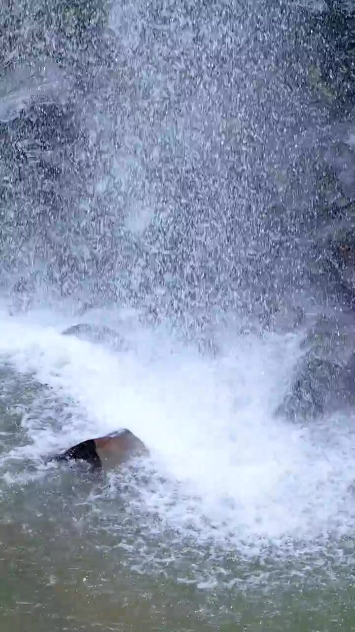 Una cascada constante cae sobre rocas oscuras y una poza poco profunda en un entorno de selva tropical exuberante, con luz natural y movimiento de cámara mínimo