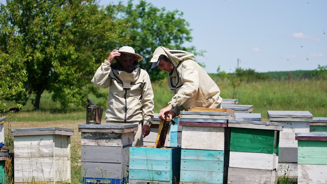 Little rural apiary with wooden hives on beautiful sunny daytime. Two beekeepers working on the farm checking up harvest. Blurred backdrop.