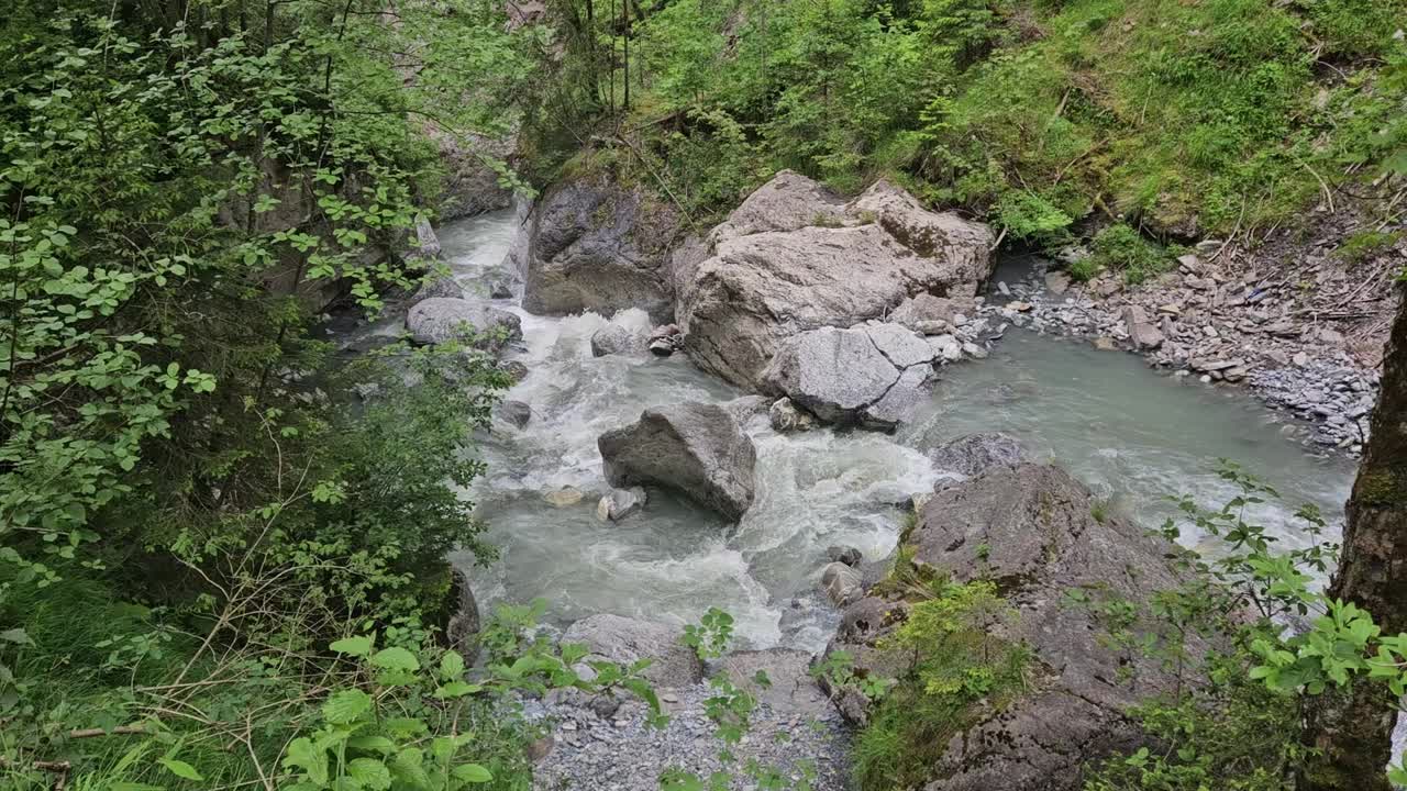 vista estática de una pequeña cascada en un bosque de suiza