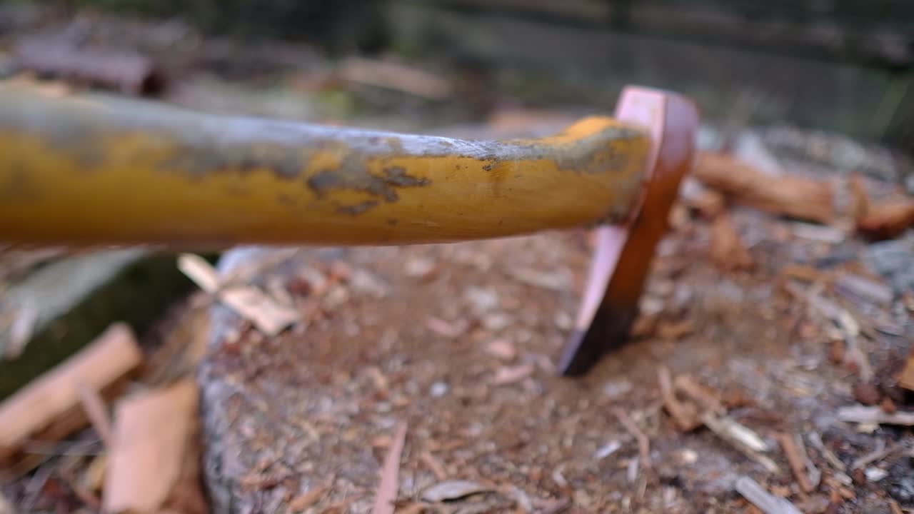 도끼로 나무를 자르는 행위를 닫습니다