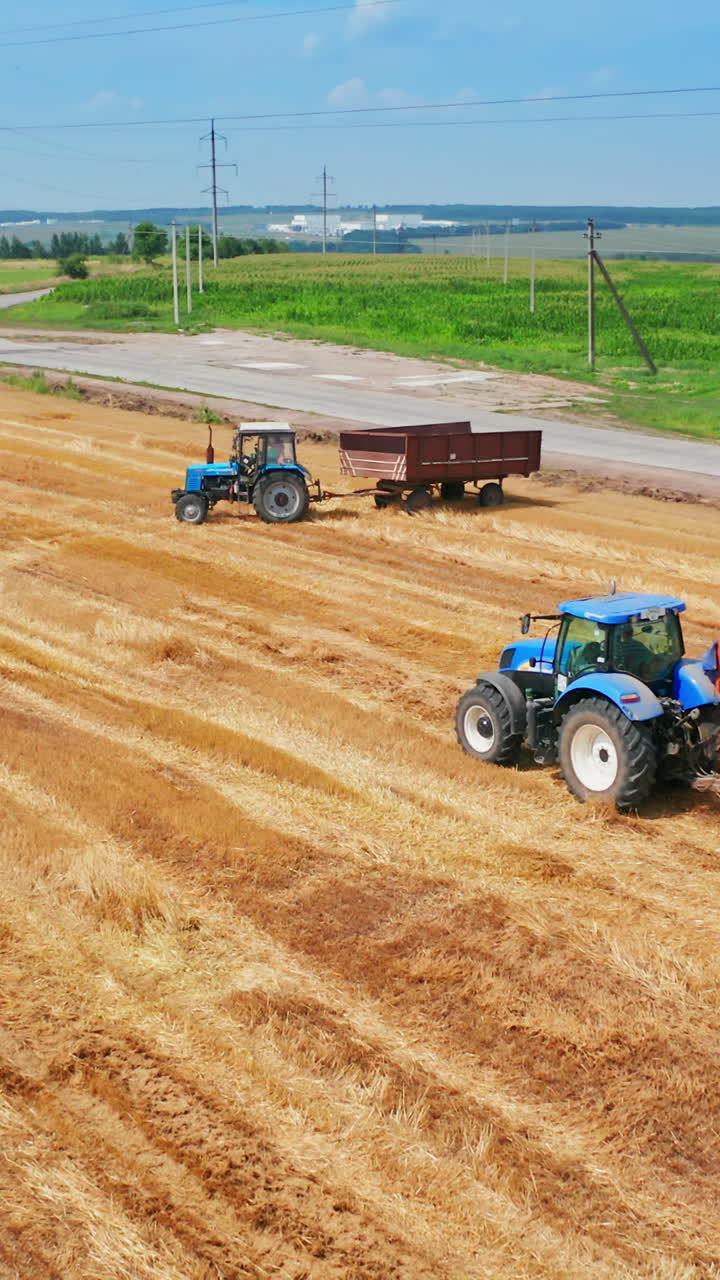 Empty tractors waiting to be downloaded with straw packs at agricultural field. Little skid loader putting hay bales on the machine carcass. Beautiful landscape at backdrop. Vertical video