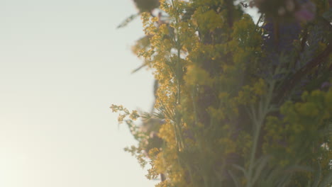 close up of woman in white shirt and green dress holding yellow and mixed wildflowers in both hands under warm sunlight while arranging bouquet in peaceful green field with soft blurred background