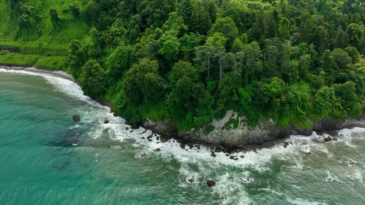 Dense green forest meets the sea where waves crash on rocky edges, showing a beautiful meeting of land and ocean