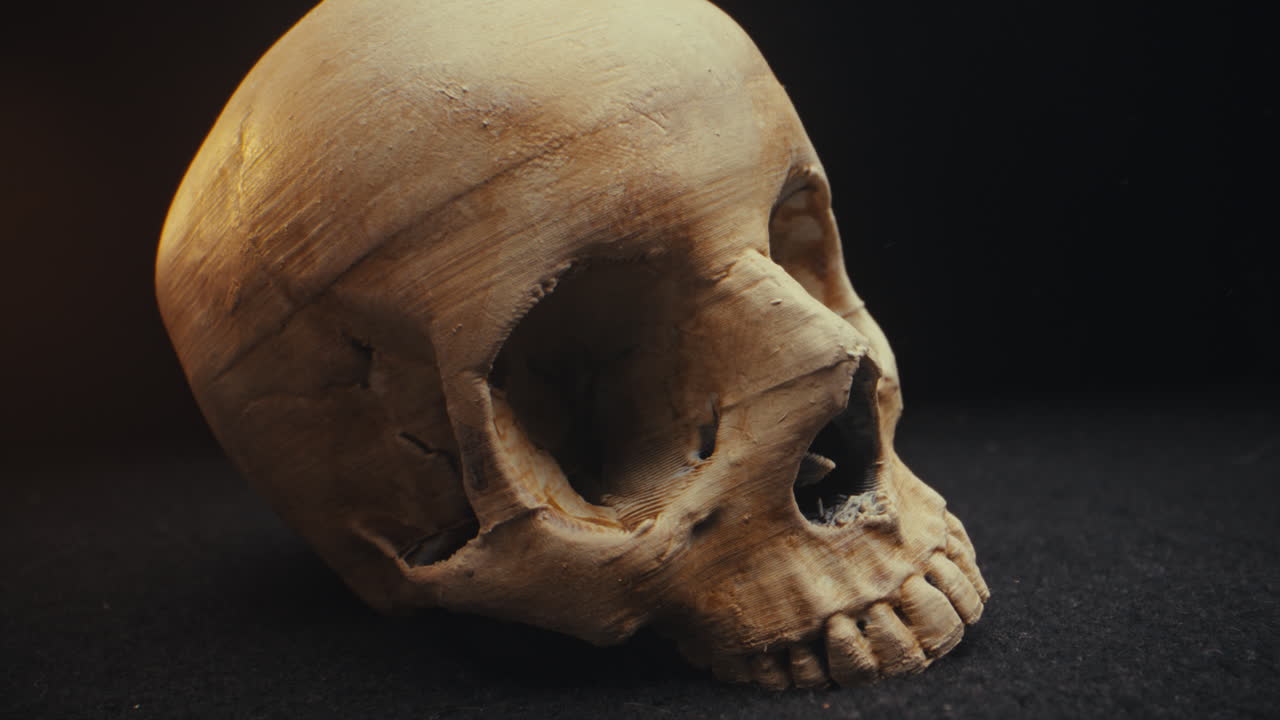 3D Printed Skull
