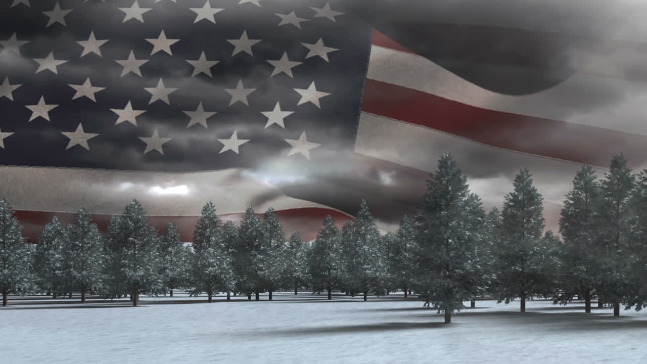 animación digital de pinos en el bosque 4k