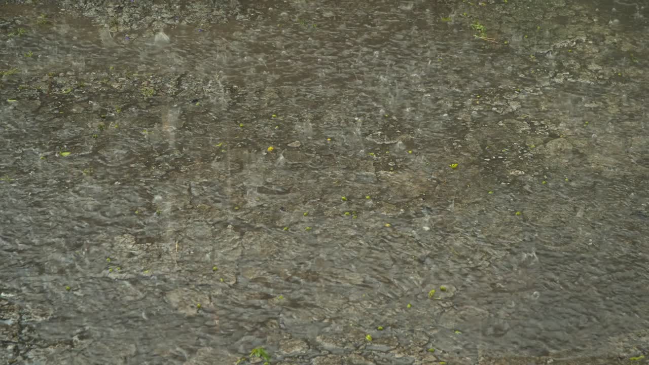 Autumn rain water drops falling into big puddle