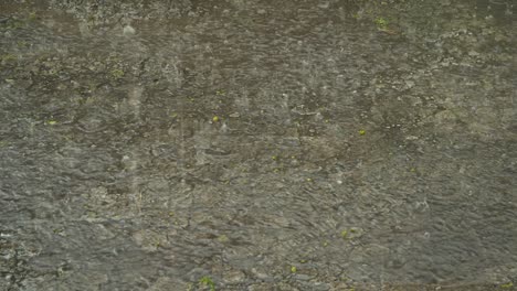gotas de agua de lluvia de otoño cayendo en un gran charco