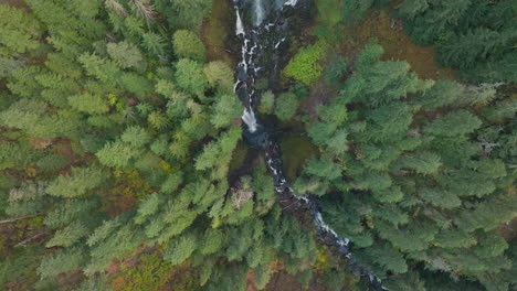 falls creek falls and stream in gifford pinchot national forest, establishing wide angle aerial, slowly rotating counterclockwise.