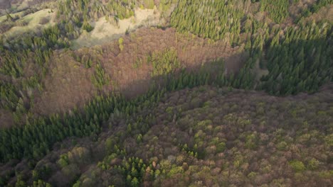 Banska-bystrica-lower-tatras-mountains-in-Slovakia,-drone-flight-over-green-forest-and-hillside