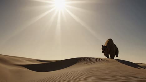 large bear in the desert