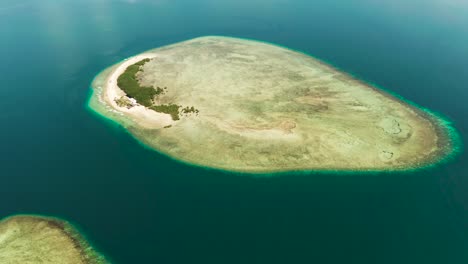 isla de las estrellas de mar, puerto princesa, palawan. tour de salto de isla en la bahía de honda, palawan