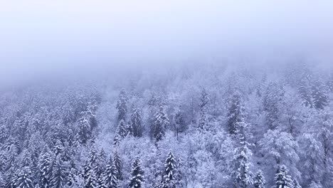 Langsamer-Flug-Aus-Der-Luft-über-Einen-Stimmungsvollen,-Schneebedeckten-Winterwald,-Der-In-Dicke-Wolken-Eindringt-4k
